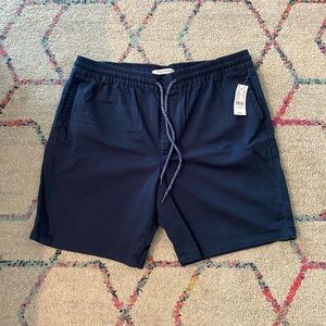 Pacsun Volley Shorts